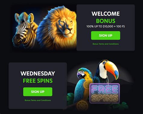 neospin casino|neo casino.